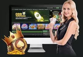 up7 bet